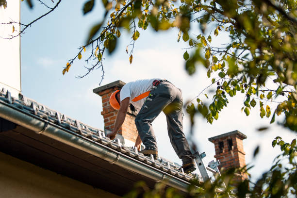 Roof Waterproofing Services in White Sulphur Springs, MT